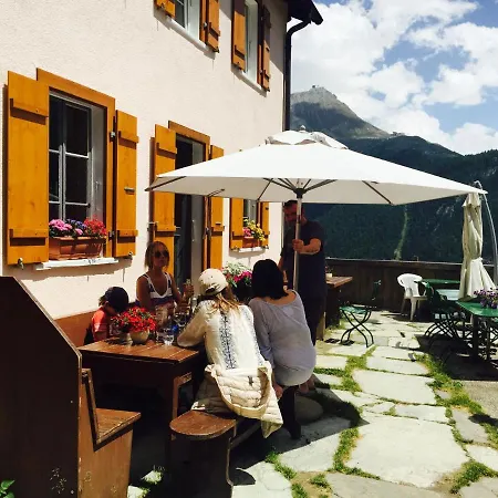 Edelweiss Mountain - 1 Hour Hike Up From Station - On Hiking Trail - No Transport * Zermatt