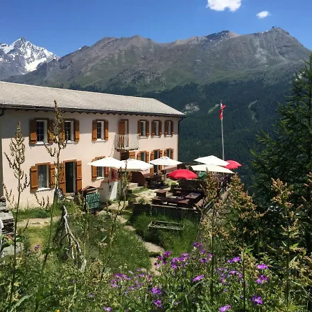 Edelweiss Mountain - 1 Hour Hike Up From Station - On Hiking Trail - No Transport Lodge
