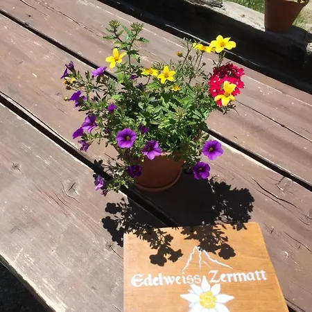 Lodge Edelweiss Mountain - 1 Hour Hike Up From Station - On Hiking Trail - No Transport *