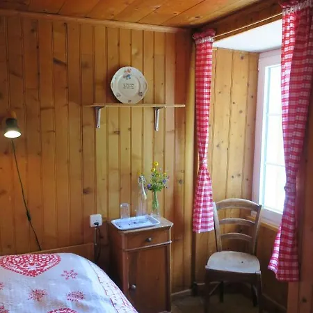 Edelweiss Mountain - 1 Hour Hike Up From Station - On Hiking Trail - No Transport * Zermatt