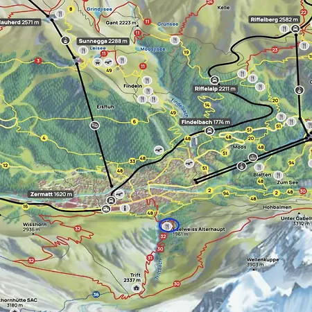 Edelweiss Mountain - 1 Hour Hike Up From Station - On Hiking Trail - No Transport *