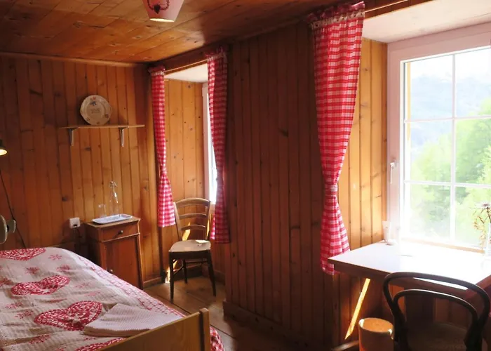 Edelweiss Mountain - 1 Hour Hike Up From Station - On Hiking Trail - No Transport Orman Evi